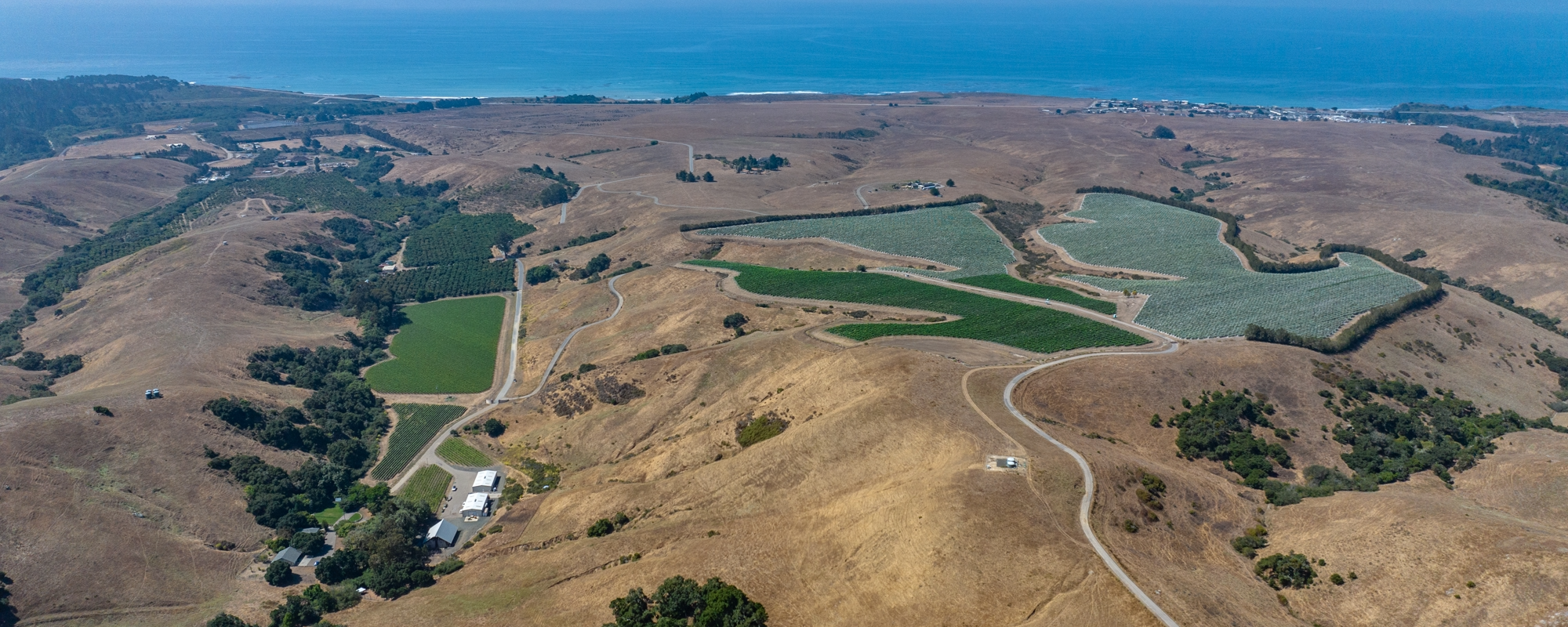 Derbyshire Ranch & Vineyard